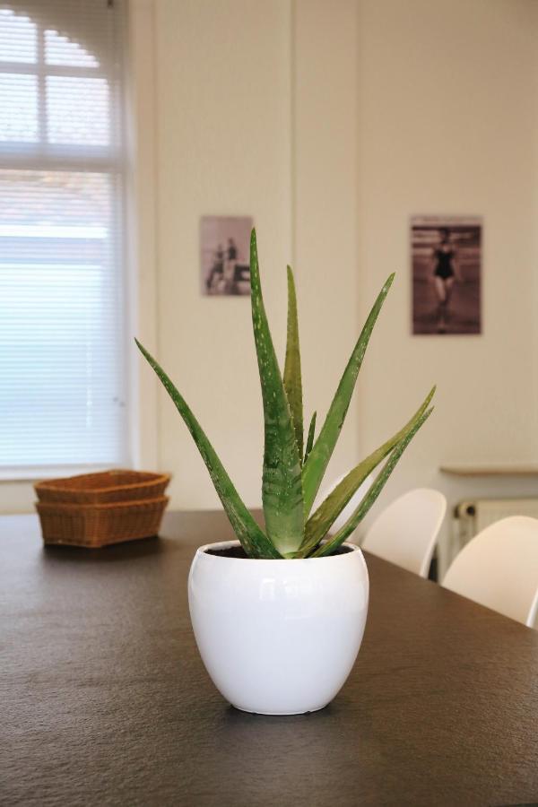 Vakantiewoning Villa Elena Nieuwpoort Buitenkant foto